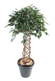 Arbre artificiel Ficus tronc cage - plante d'intrieur - H.170cm vert