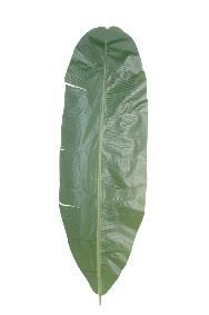 Feuillage artificiel Feuille de Bananier -intrieur - H.70 cm vert