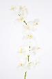 Orchidée artificielle Phalaenopsis 10 fleurs - création bouquet - H.160 cm blanc