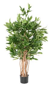Plante artificielle Dracaena Surculosa - plante verte d'intrieur - H.155cm