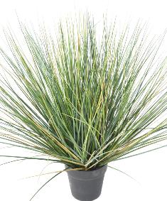 Plante artificielle Herbe New Round en pot - intrieur - H. 60cm vert