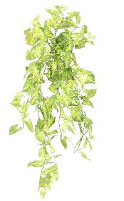 Plante artificielle Syngonium en piquet - dcoration d'intrieur - H.80cm panach
