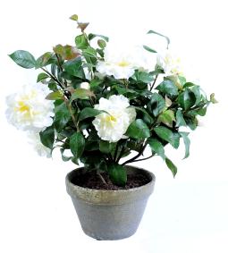 Plante artificielle fleurie Camlia en pot terre - 7 fleurs - H.56cm blanc