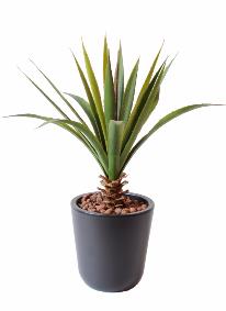 Plante artificielle Aloe en piquet - cactus artificiel extrieur - H.45cm vert