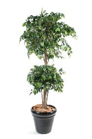 Arbre artificiel Ficus double boule - dcoration d'intrieur - H.180cm