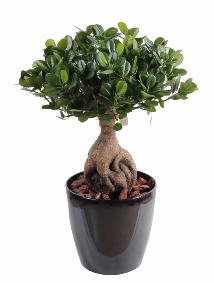 Bonsaï artificiel arbre miniature Ficus Panda Ginseng - plante d'intérieur - H.60cm