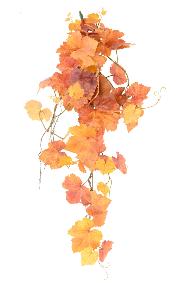 Chute artificielle de vigne automne - dcoration d'intrieur - H.80cm orange