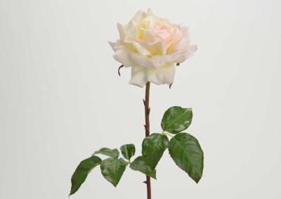 Fleur artificielle rose Pristine - Fresh touch haute qualit - H.52cm crme