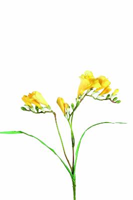 Fleur coupée artificielle Freesia - création de bouquet - H.60 cm jaune