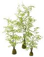 Fougère artificielle socle mousse - plante d'intérieur - H.130cm vert
