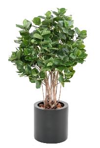 Plante artificielle Clusia buisson - décoration d'intérieur - H.95cm panaché