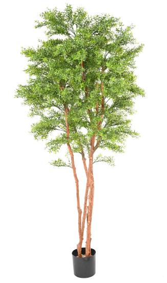 Arbre artificiel Eucalyptus Tree UV - plante intérieur extérieur - H.210cm