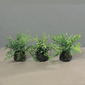 Assortiment de 3 Fougres artificielles socle mousse - plante d'intrieur - H.19cm vert