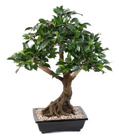 Bonsa artificiel arbre miniature Ficus en coupe - plante d'intrieur - H.58cm