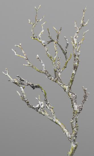 Branche artificielle bois avec mousse et lichen - décoration d'intérieur - H.30cm
