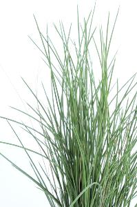 Herbe artificielle Honey Grass UV résistant - intérieur extérieur - H.80cm