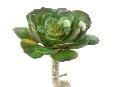 Mini plante artificielle Succulente ROND - cactus artificiel intérieur - H.15cm