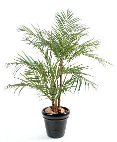 Palmier artificiel Areca 3 troncs - plante pour intrieur - H.170cm vert
