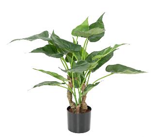 Plante artificielle Alocasia Cucullata - plante tropicale d'intrieur - H.50cm