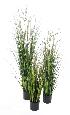 Plante artificielle Berry Onion Grass en pot - intérieur - H.90cm vert