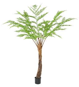 Plante artificielle Fougre Dicksonia 7 branches -dcoration d'intrieur - H.240cm
