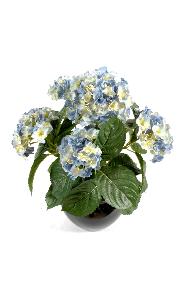 Plante artificielle Hortensia 5 ttes - plante fleurie en piquet - H.50cm bleu