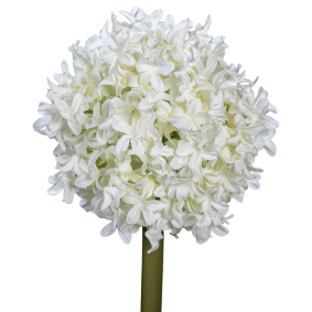 Fleur artificielle Allium tige d'ail d'ornement - composition bouquet - H.79cm crème