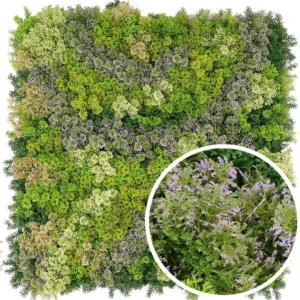 Plaque Mousse artificielle - mur végétal pour intérieur- L.100x100cm
