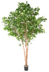 Arbre forestier artificiel Htre Grandifolia Tree - dcoration d'intrieur - H.350cm