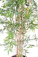 Bambou artificiel Japanese UV résistant - intérieur extérieur - H.180cm vert