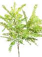 Feuillage artificiel Cassia en piquet - intérieur extérieur - H.75cm vert