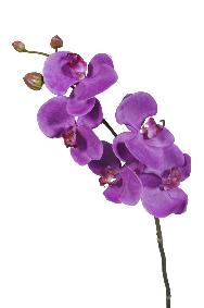 Fleur artificielle Orchide Phalaenopsis 5 fleurs - Fresh Touch - H.72 cm violet