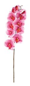 Fleur artificielle Orchide phalaenopsis - fleur  tige - H.103 cm fuchsia