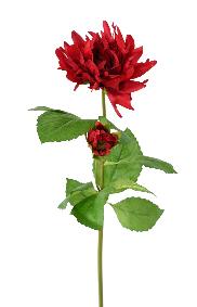 Fleur coupe artificielle Dahlia - 1 fleur 1 bouton - H.75cm rouge