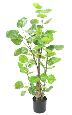Plante artificielle Aralia Fabian - plante synthétique pour intérieur - H.90cm