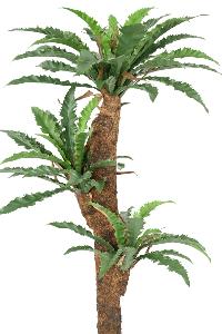 Plante artificielle Asplenium Dakila - décoration d'intérieur - H.130cm