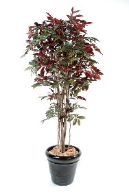Plante artificielle Capensia Nice - dcoration d'intrieur - H.170cm vert rouge