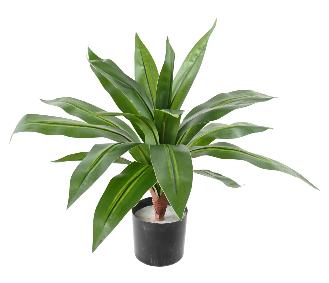 Plante artificielle Dracaena large - dcoration d'intrieur - H.55cm vert