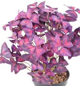 Plante artificielle Trfle Oxalis en piquet - dcoration d'intrieur - H.30cm pourpre
