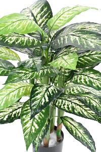 Plante verte artificielle Dieffenbachia - décoration d'intérieur - H.80cm