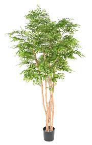Arbre artificiel Acacia 5 troncs - plante d'intrieur - H.210cm vert