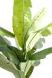Arbre fruitier artificiel bananier - plante intérieur - H.270 cm