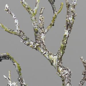 Branche artificielle bois avec mousse et lichen - décoration d'intérieur - H.30cm