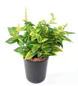 Feuillage artificiel Coleus en piquet - plante verte intrieur - H.40cm vert jaune