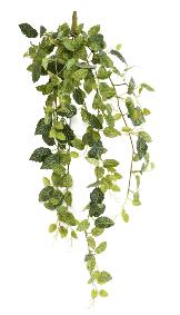 Feuillage artificiel piquet Fittonia - plante pour intrieur - H.80cm panach