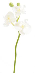Mini Orchide artificielle Phalaenopsis 3 fleurs - Fresh Touch - H.45 cm blanc