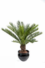 Palmier artificiel Cycas tronc - plante intrieur extrieur - H.90cm vert