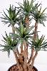 Plante artificielle Agave 7 troncs - succulente pour intérieur - H.72cm vert