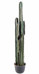 Plante artificielle Cactus Finger - Plante synthtique intrieur - H. 185cm vert
