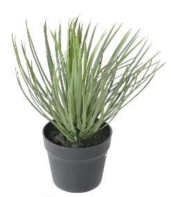 Plante artificielle Yucca Rostrata - intrieur extrieur - H.40cm vert